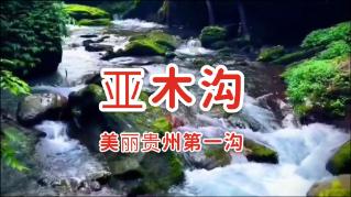暗黑血统3