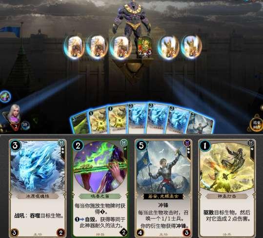 救援非洲金猫