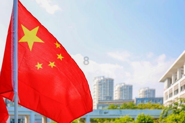 森林的奇迹