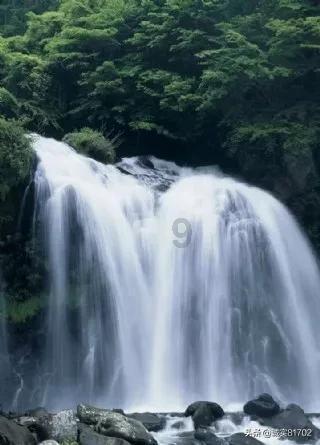 今年春节,你手机里准备加装哪些APP?
